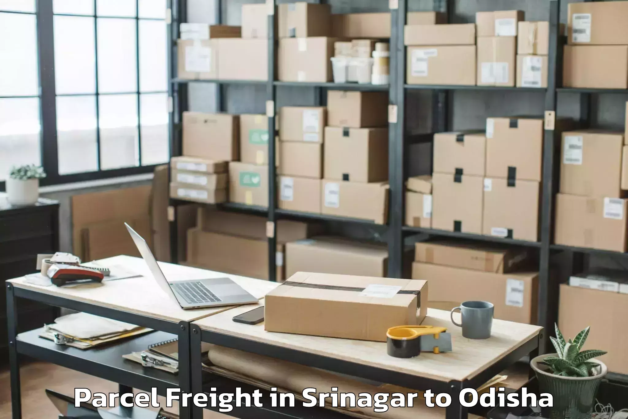 Book Srinagar to Khalikote Parcel Freight Online